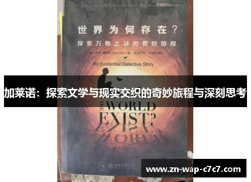 加莱诺：探索文学与现实交织的奇妙旅程与深刻思考