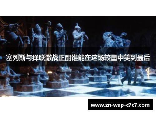 塞列斯与掸联激战正酣谁能在这场较量中笑到最后